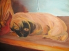 pug-painting-007