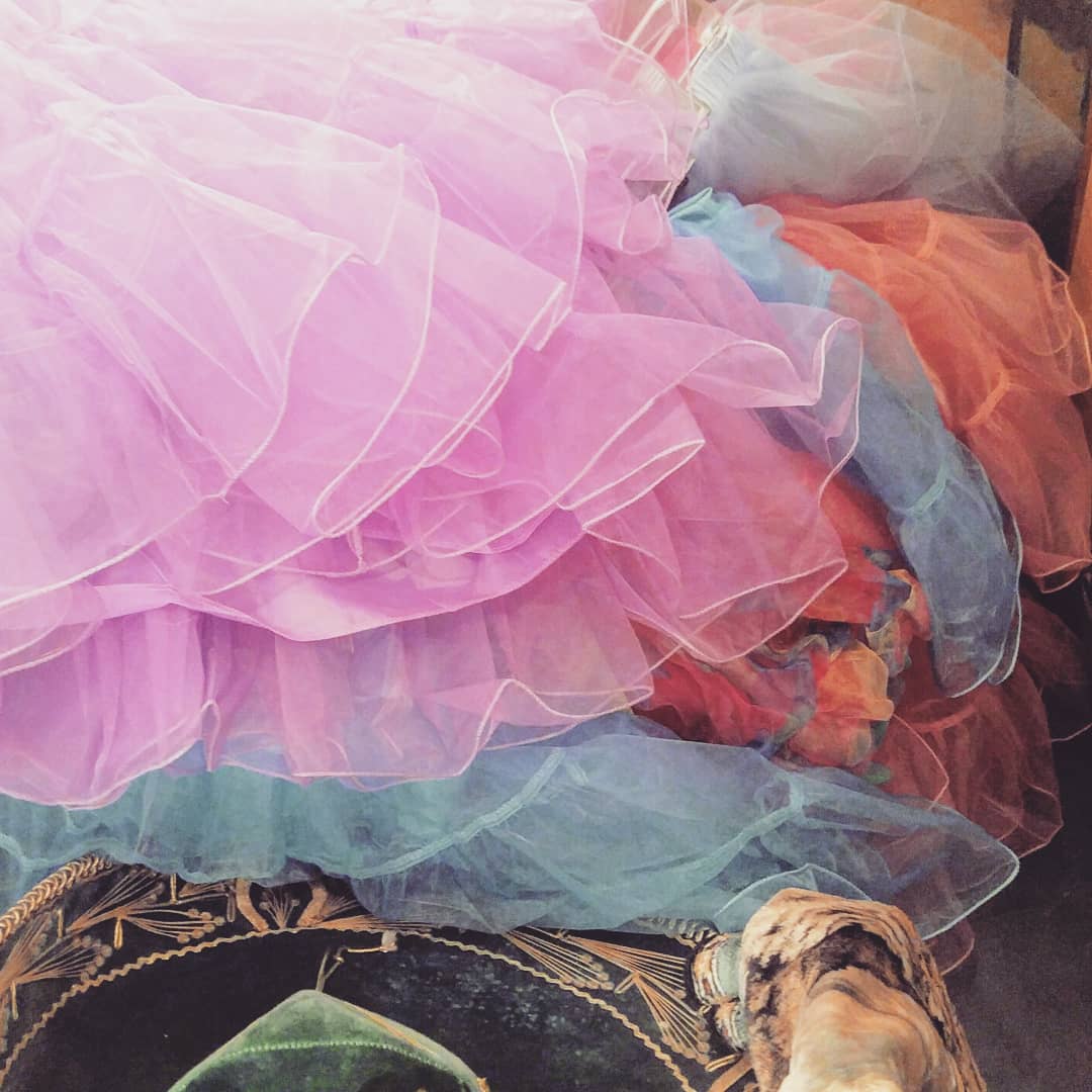 Petticoats AND Tutus ! vintage clothing Fort Worth